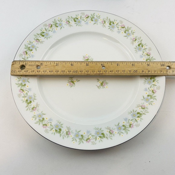 Johann Haviland Forever Spring Dinner Plate‎ Pastel Flowers Silver Rim 10" - Picture 5 of 5